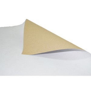 Papel Duplex 350gr 77x113