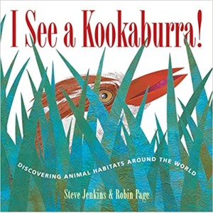 I See a Kookaburra!