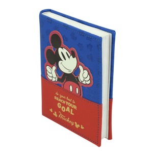 Agenda Disney Mickey 2024 DAC 4129